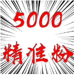 专业团队推广引流